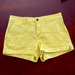 Market & Spruce Shorts